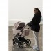 Универсальная коляска 2 в 1 Carrello Aurora CRL-6505