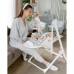 Стульчик для кормления-качели Carrello Triumph CRL-10302