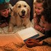 Светодиодный светильник лампа для чтения книг Book Lamp 17 см